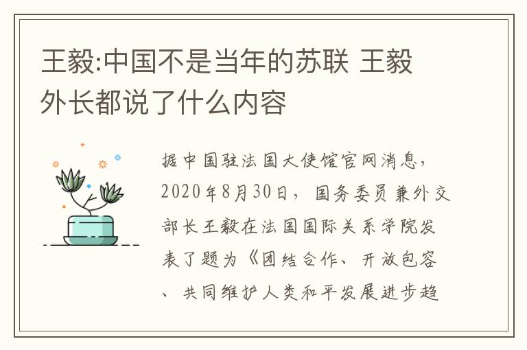 王毅:中国不是当年的苏联 王毅外长都说了什么内容