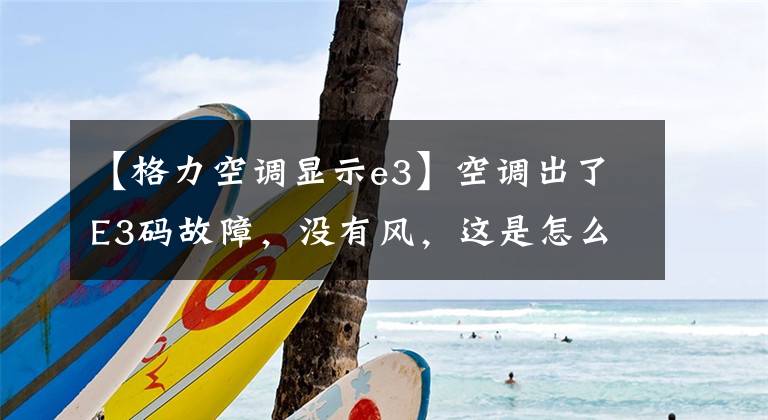 【格力空调显示e3】空调出了E3码故障，没有风，这是怎么回事？