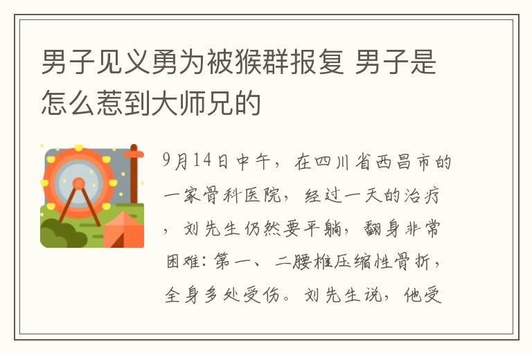 男子见义勇为被猴群报复 男子是怎么惹到大师兄的