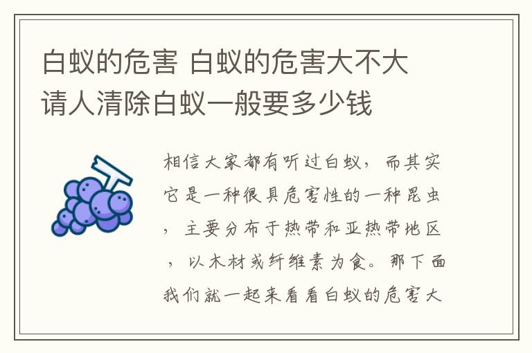 白蚁的危害 白蚁的危害大不大 请人清除白蚁一般要多少钱