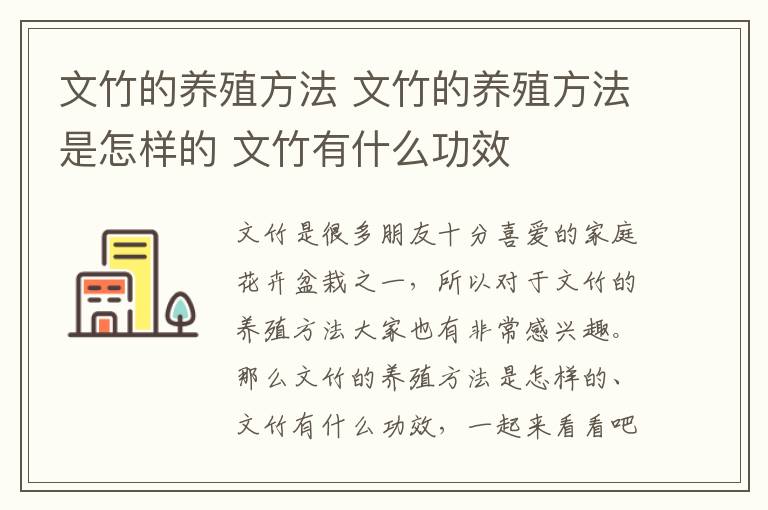 文竹的养殖方法 文竹的养殖方法是怎样的 文竹有什么功效