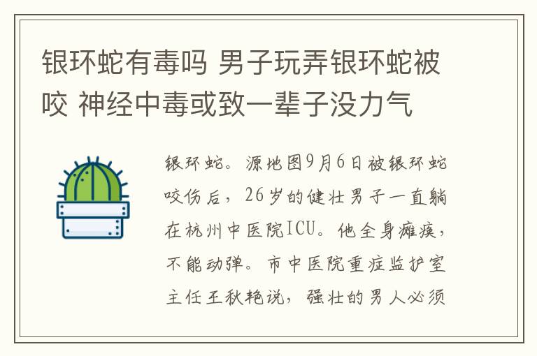 银环蛇有毒吗 男子玩弄银环蛇被咬 神经中毒或致一辈子没力气