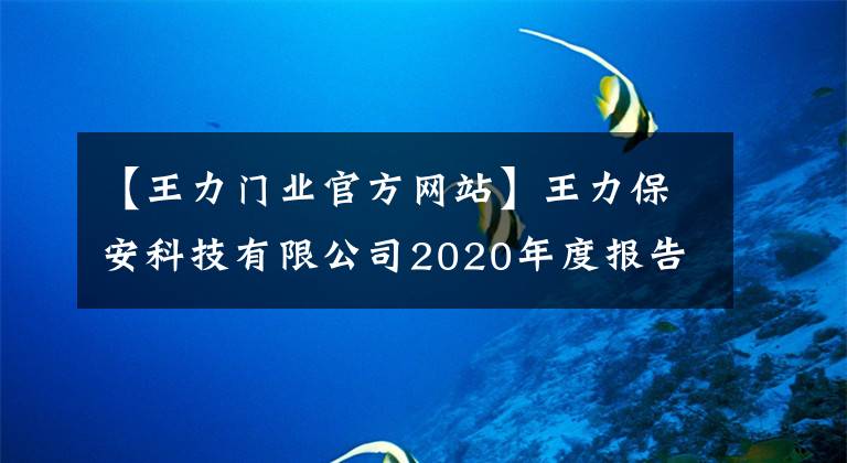 【王力门业官方网站】王力保安科技有限公司2020年度报告综述