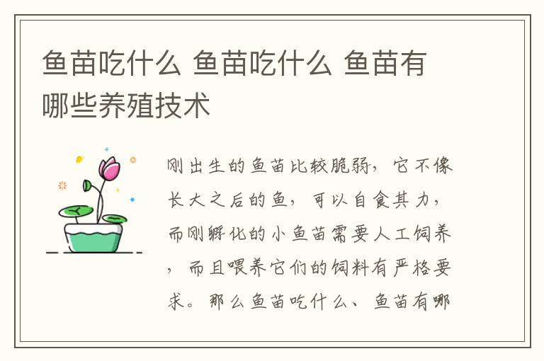 鱼苗吃什么 鱼苗吃什么 鱼苗有哪些养殖技术