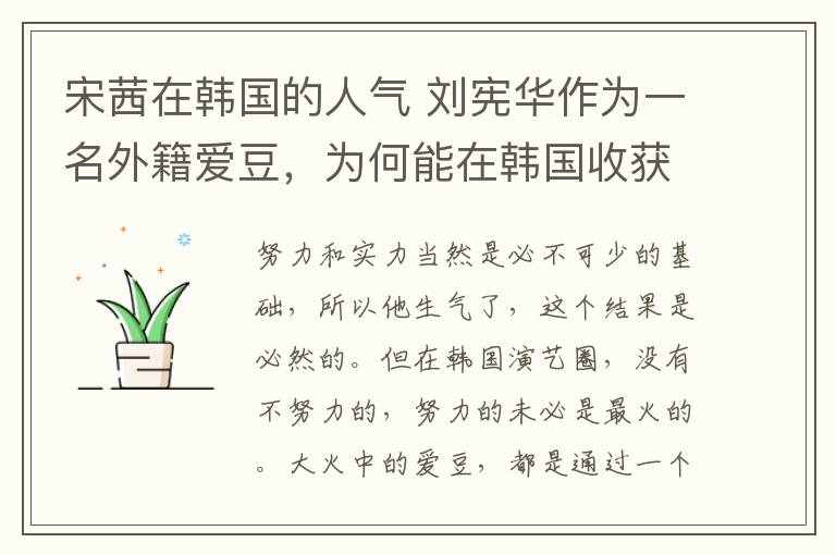 宋茜在韩国的人气 刘宪华作为一名外籍爱豆，为何能在韩国收获高人气及高国民度呢？