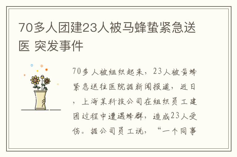 70多人团建23人被马蜂蛰紧急送医 突发事件