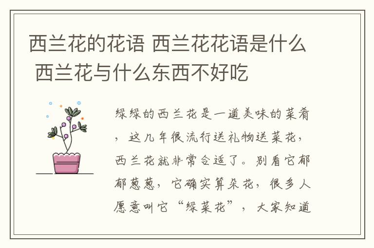 西兰花的花语 西兰花花语是什么 西兰花与什么东西不好吃