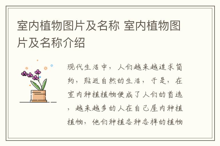 室内植物图片及名称 室内植物图片及名称介绍