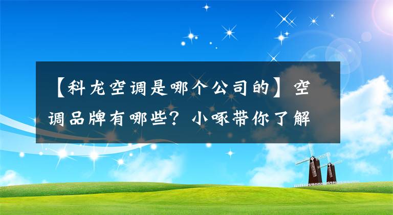 【科龙空调是哪个公司的】空调品牌有哪些？小啄带你了解。