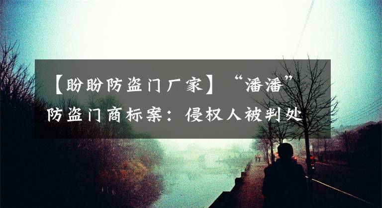 【盼盼防盗门厂家】“潘潘”防盗门商标案：侵权人被判处赔偿1亿元。