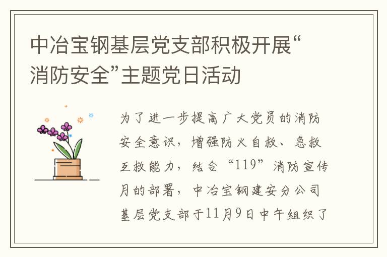 中冶宝钢基层党支部积极开展“消防安全”主题党日活动