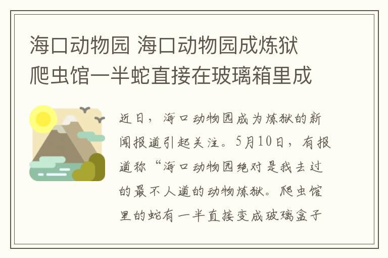 海口动物园 海口动物园成炼狱 爬虫馆一半蛇直接在玻璃箱里成了蛇干
