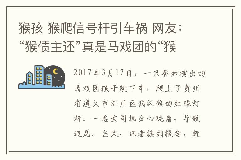 猴孩 猴爬信号杆引车祸 网友：“猴债主还”真是马戏团的“猴孩子”