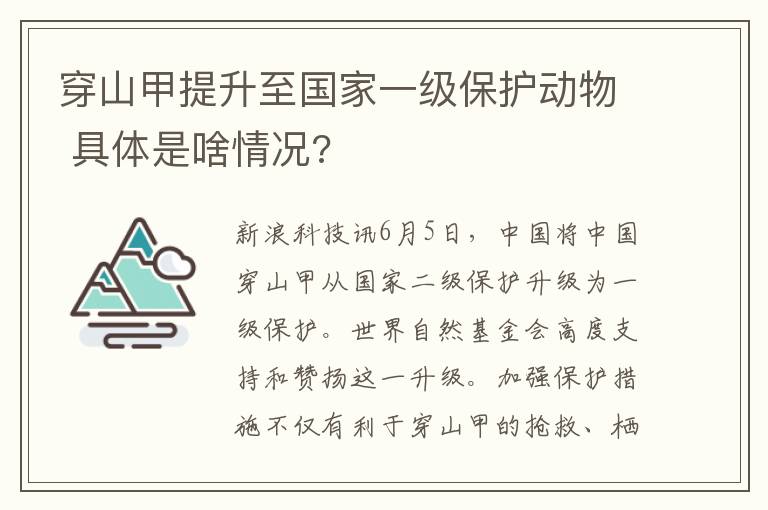 穿山甲提升至国家一级保护动物 具体是啥情况?