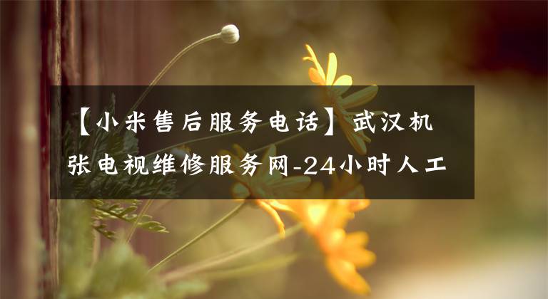 【小米售后服务电话】武汉机张电视维修服务网-24小时人工中心