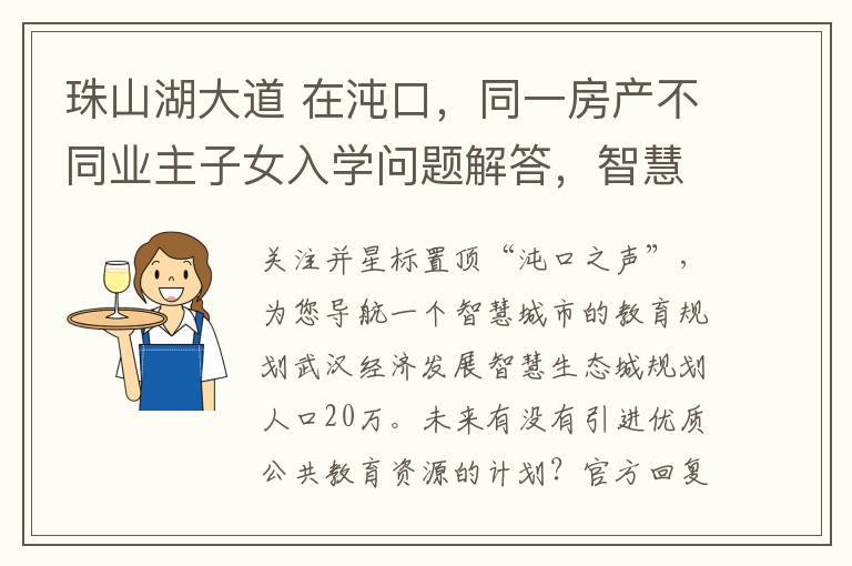 珠山湖大道 在沌口，同一房产不同业主子女入学问题解答，智慧城教育规划问题