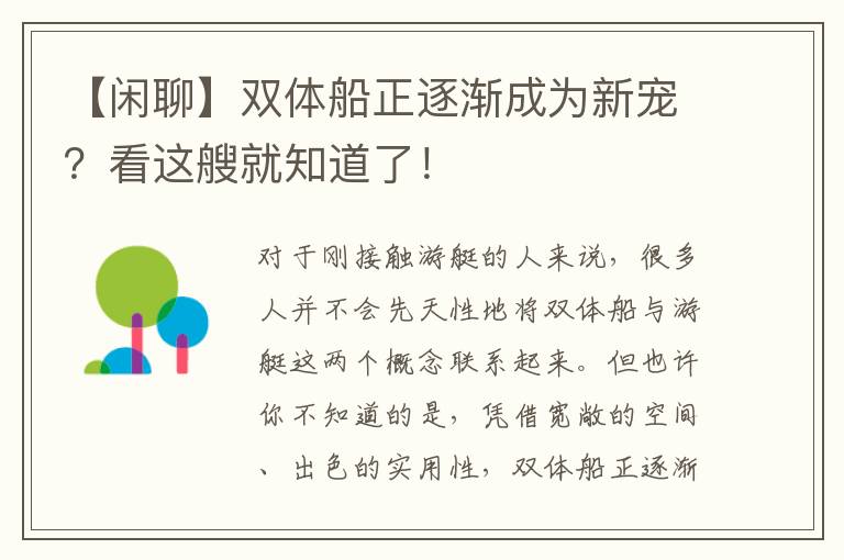 【闲聊】双体船正逐渐成为新宠？看这艘就知道了！