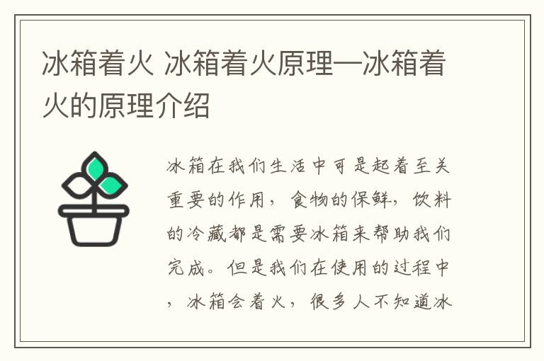 冰箱着火 冰箱着火原理—冰箱着火的原理介绍