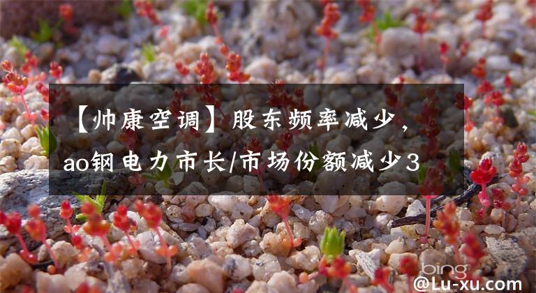 【帅康空调】股东频率减少，ao钢电力市长/市场份额减少3.6%，负债减少到28亿韩元