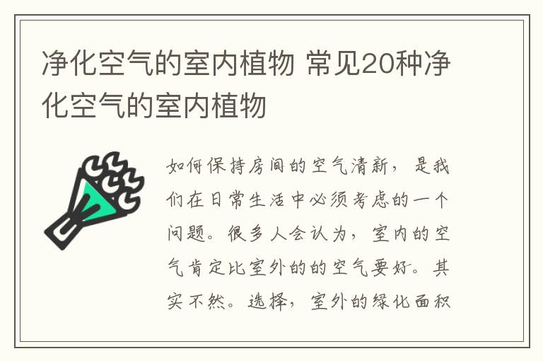 净化空气的室内植物 常见20种净化空气的室内植物