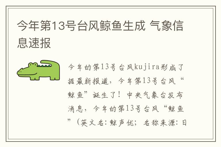 今年第13号台风鲸鱼生成 气象信息速报