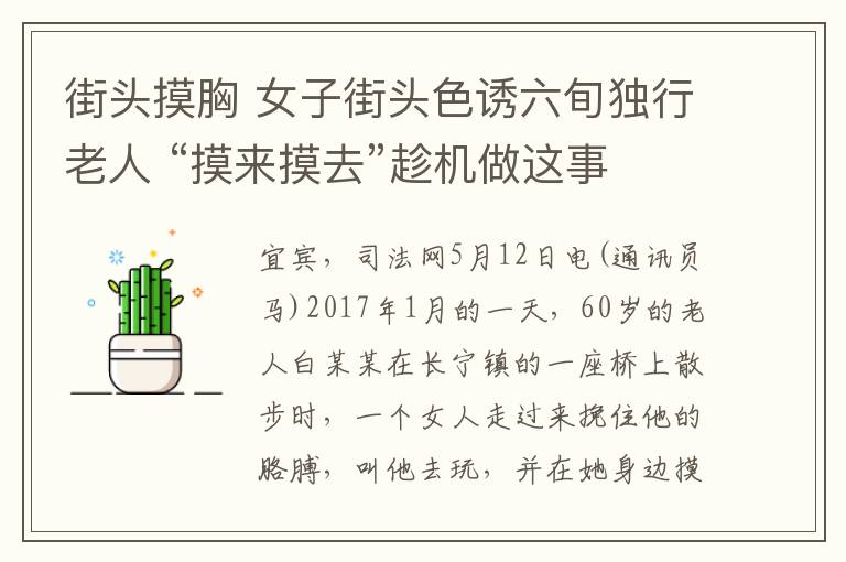 街头摸胸 女子街头色诱六旬独行老人 “摸来摸去”趁机做这事