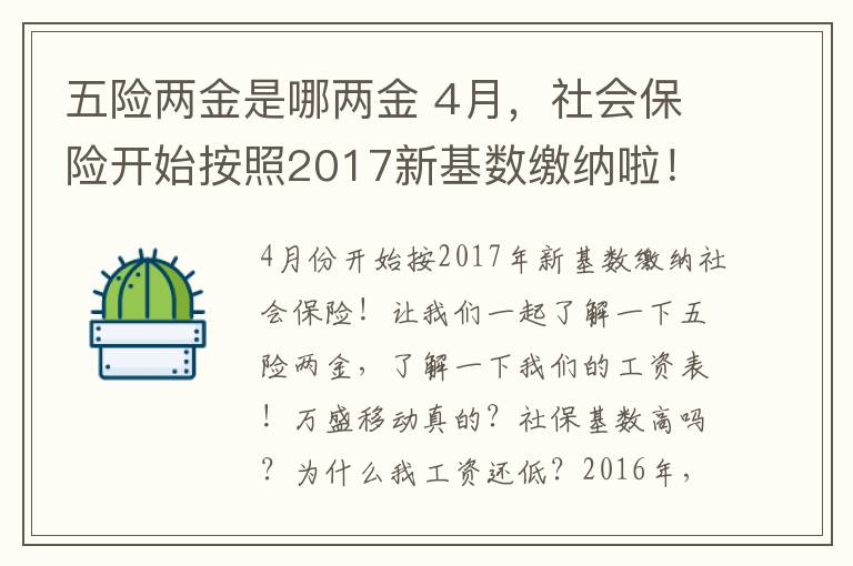 五险两金是哪两金 4月，社会保险开始按照2017新基数缴纳啦！让我们一起了解一下五险两金，看懂自己工资单！