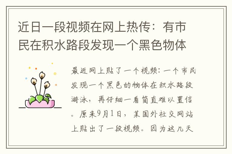 近日一段视频在网上热传：有市民在积水路段发现一个黑色物体游动，走近一看让人难以置信。