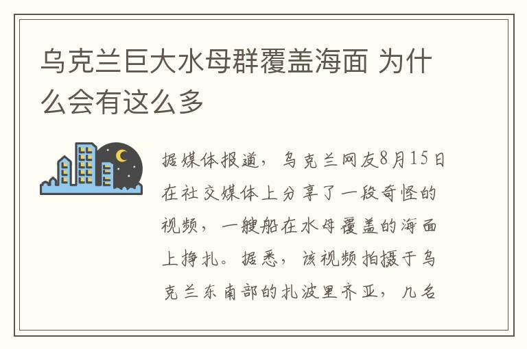 乌克兰巨大水母群覆盖海面 为什么会有这么多