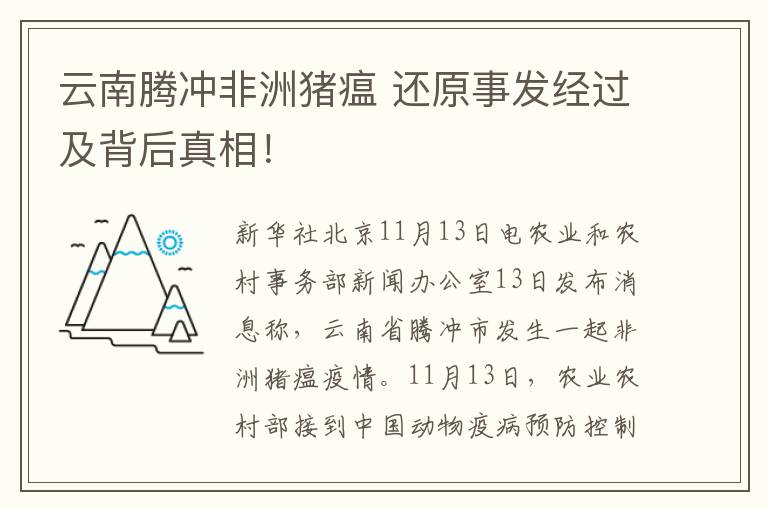 云南腾冲非洲猪瘟 还原事发经过及背后真相！