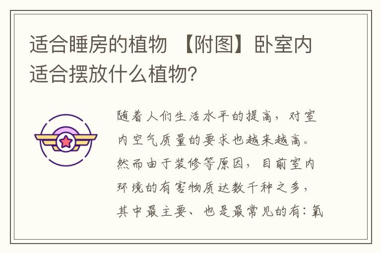 适合睡房的植物 【附图】卧室内适合摆放什么植物？