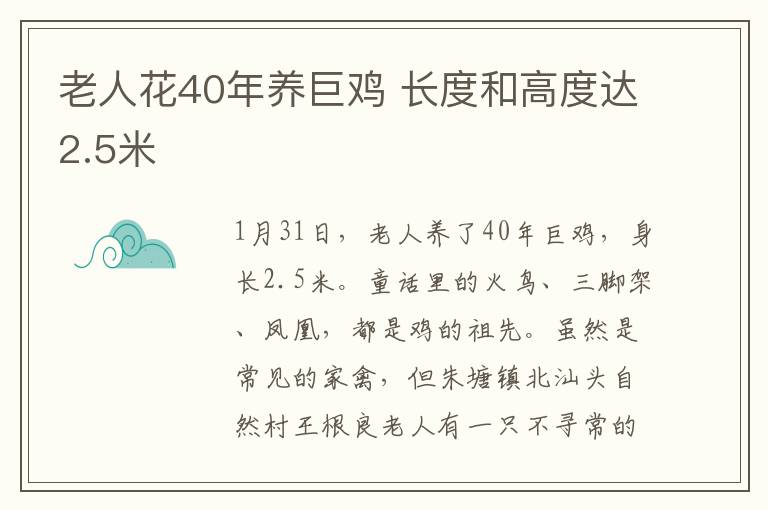 老人花40年养巨鸡 长度和高度达2.5米