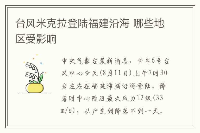 台风米克拉登陆福建沿海 哪些地区受影响