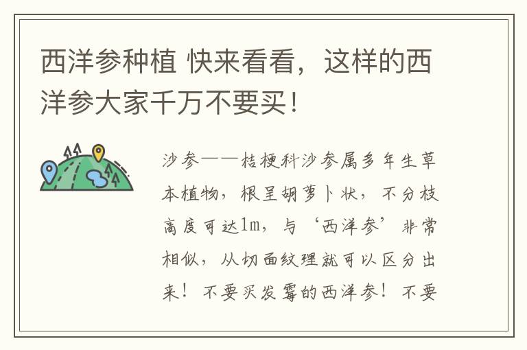 西洋参种植 快来看看，这样的西洋参大家千万不要买！