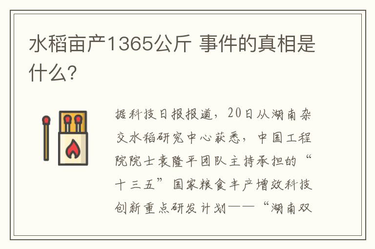 水稻亩产1365公斤 事件的真相是什么？