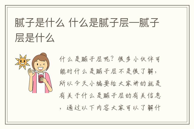 腻子是什么 什么是腻子层—腻子层是什么