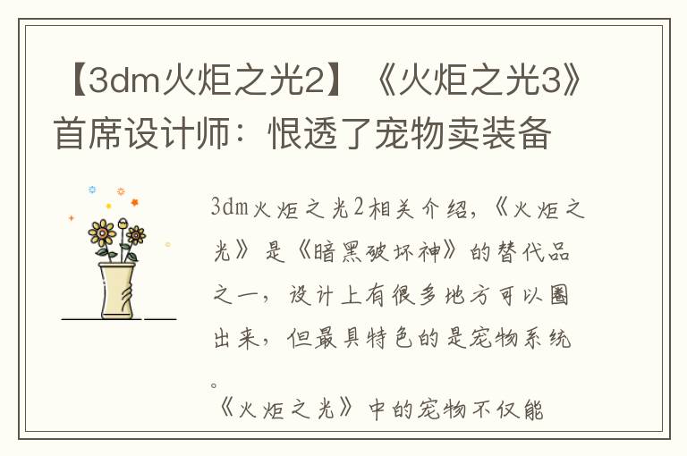 【3dm火炬之光2】《火炬之光3》首席设计师：恨透了宠物卖装备的功能