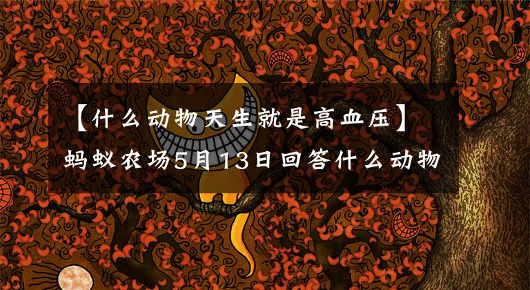 【什么动物天生就是高血压】蚂蚁农场5月13日回答什么动物天生“高血压”？小鸡宝宝测试今天回答