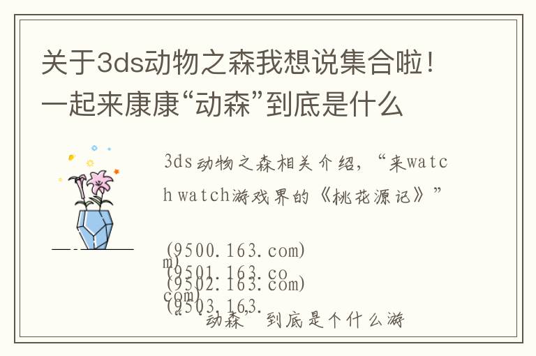 关于3ds动物之森我想说集合啦！一起来康康“动森”到底是什么？