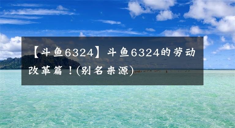 【斗鱼6324】斗鱼6324的劳动改革篇！(别名来源)