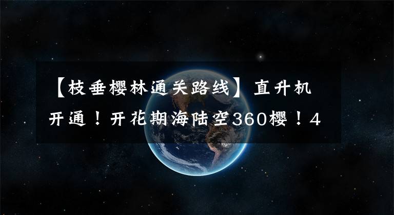 【枝垂樱林通关路线】直升机开通！开花期海陆空360樱！4月14日炸毁联队！