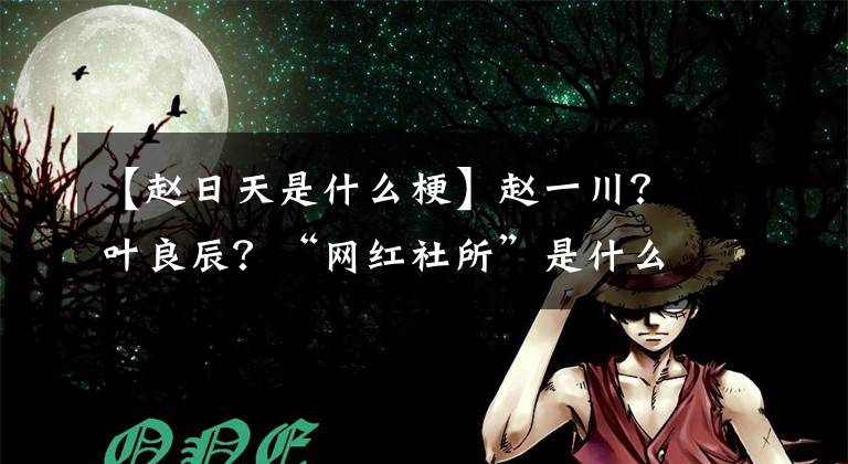 【赵日天是什么梗】赵一川？叶良辰？“网红社所”是什么梗？