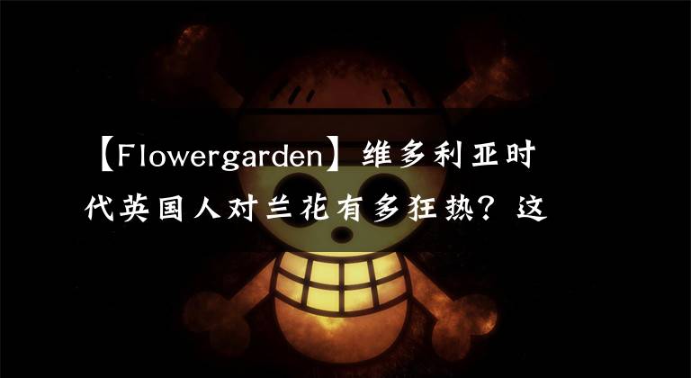 【Flowergarden】维多利亚时代英国人对兰花有多狂热？这位画家的手绘图留存了那份迷恋