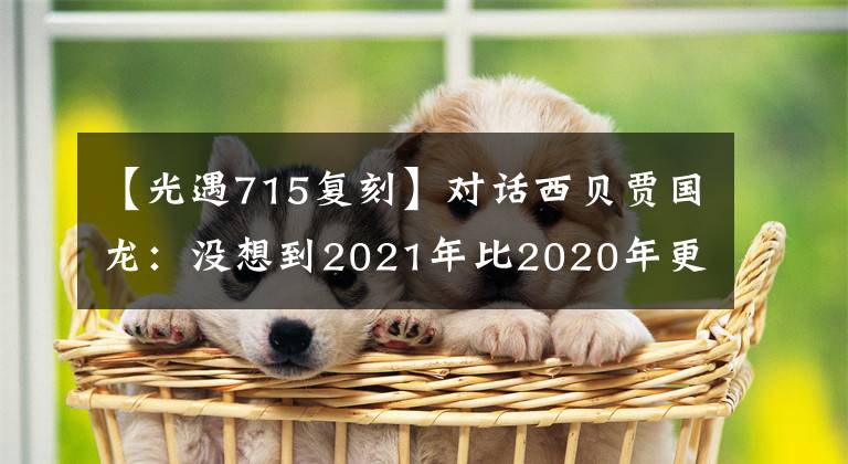 【光遇715复刻】对话西贝贾国龙：没想到2021年比2020年更艰难。他还谈了涨价，上市和海底捞