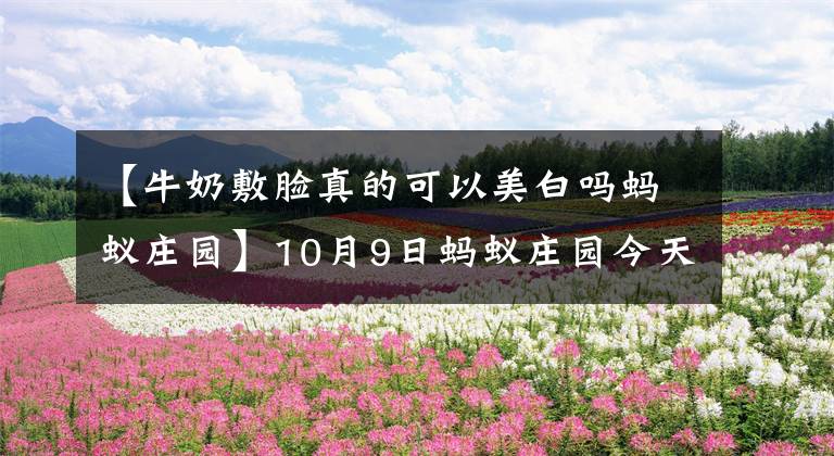 【牛奶敷脸真的可以美白吗蚂蚁庄园】10月9日蚂蚁庄园今天正确答案牛奶敷脸真的可以美白吗？