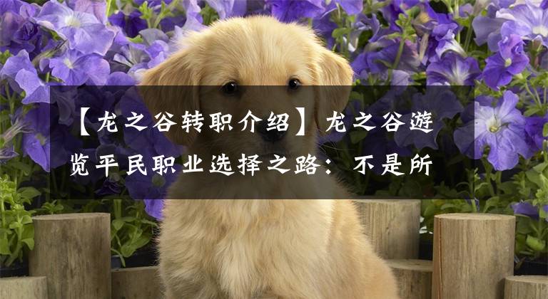 【龙之谷转职介绍】龙之谷游览平民职业选择之路：不是所有职业都是平民职业！