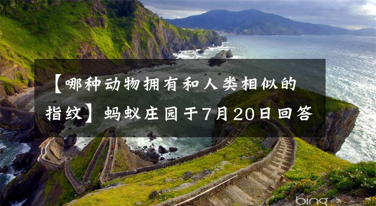 【哪种动物拥有和人类相似的指纹】蚂蚁庄园于7月20日回答了问题。以下哪种动物有与人类相似的指纹？