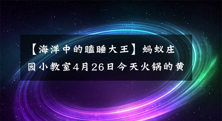 【海洋中的瞌睡大王】蚂蚁庄园小教室4月26日今天火锅的黄嗓子是猪牛的哪个机关？