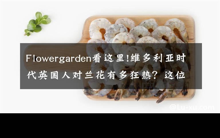 Flowergarden看这里!维多利亚时代英国人对兰花有多狂热？这位画家的手绘图留存了那份迷恋