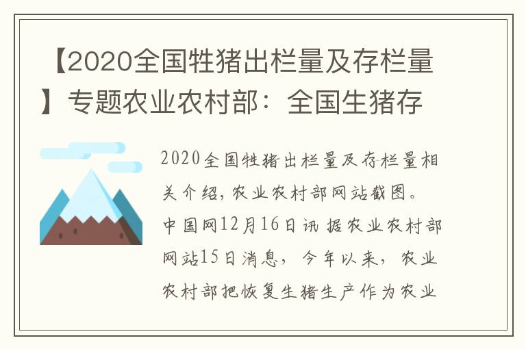 【2020全国牲猪出栏量及存栏量】专题农业农村部：全国生猪存栏已恢复到正常年份水平90%以上